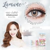 ราคา Lamune gray /Florida gray (73717312)