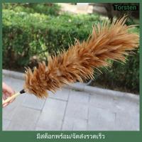ราคา ไม้ปัดฝุ่นขนไก่ ไม้ปัดฝุ่นมือถือ ด้ามขนไก่ (26687229592)