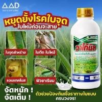 ราคา วาโก้นิล (คลอโรทาโลนิล) ขนาด 1 ลิตร กลุ่ม M5 สารป้องกันกำจัดโรคพืช ขวดสีเขียว (52457957863)