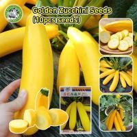 ราคา ปลูกง่าย เมล็ดพันธุ์ ซูกินีสีทอง F1 ซูกินี เหลือง Yellow Zucchini Seeds Bottle Gourd Seeds Vegetable Seed เมล็ดพันธุ์ผัก (28531460062)