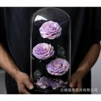 ราคา Valentine's Day ดอกกุหลาบเสมือนจริงในโหลแก้ว ดอกไม้อมตะ แพ็คเกรดหรูหราและสวยงาม งานเกรดพรีเมี่ยม (29361876134)