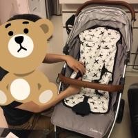 ราคา รถเข็นเด็ก BabyStyle Oyster Zero สี pure Silver มือสอง (2098117897)