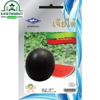 ราคา แตงโมดำ เจียไต๋ 2 กรัม เมล็ดพันธุ์ผัก ผักสวนครัว (6836801204)