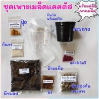 ราคา ชุดเพาะเมล็ดแคคตัส เพาะเมล็ดระบบปิด มีคู่มือเพาะเมล็ด *ไม่มีเมล็ด* ครบชุดพร้อมเพาะเมล็ด เหมาะสำหรับมีเมล็ดแล้ว (20160180147)