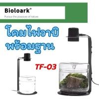 ราคา Bioloark Wabi Kusa TF-03 โคมไฟวาบิพร้อมฐานรอง เลี้ยงไม้กึ่งบก Terrarium ตู้ไม้น้ำ โหล ไม้ชื้น สวนขวด สวนแก้ว (28819571128)