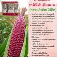 ราคา เมล็ดพันธุ์ข้าวโพดราชินีทับทิมสยาม (ซอง500เมล็ด) (23027580080)