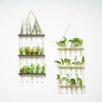 ราคา OurHome [พร้อมส่ง]แจกันแก้วหลอดทดลองแบบแขวนผนัง Wall hanging test tube glass vase ร้านกาแฟร้านอาหารโรงแรมตกแต่ง จี้ตกแต (22688851953)