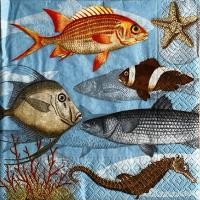 ราคา Pladao Napkin ภาพทะเล ฝูงปลาใต้ทะเล ปลาดาว ม้าน้าสัตว์ Fish กระดาษ แนพกิ้น สำหรับงานศิลปะ เดคูพาจ decoupage ขนาด L 33x33 (29003969591)