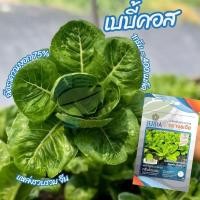 ราคา เมล็ดพันธุ์ ผักสลัด เบบี้คอส กรีนไดมอน ( Baby Cos - Green Diamond) (52302204833)