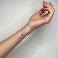 ราคา แกสบี้ ดาวเกลียวไม่มีกาว ทนนานถึง 2 สัปดาห์สำหรับการถ่ายโอนน้ำ (54801473469)