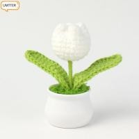 ราคา UMTTER Tulips โครเชต์ดอกไม้หม้อ, Mini DIY Handmade ถักดอกไม้,ขนสัตว์สีขาวหม้อ Handcrafted บอนไซตกแต่งบ้าน (56758091801)
