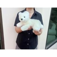 ราคา ตุ๊กตาลูกหมีขาว ขนนุ่ม งานวินเทจ ปี 1995 Vintage Ty White Baby Polar Bear ขนาด 12 นิ้ว ป้าย Ty (28267287623)