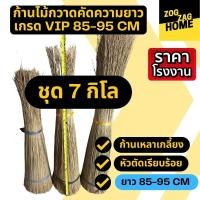 ราคา [7กก ยาว 85-95 CM ] ก้านมะพร้าวทางมะพร้าวแห้งก้านไม้กวาดทางมะพร้าวก้านไม้กวาดแข็งไม้กวาดมะพร้าวไม้กวาดวัดป่าZogzagl (23504852528)