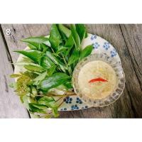 ราคา ต้นมันปู(พร้อมปลูก)นิยมกินใบอ่อน (10640681452)