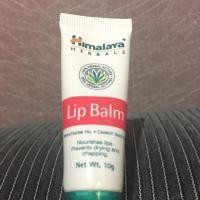ราคา Himalaya lip balm (6372108)