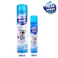 ราคา Polar Spray โพลาร์ สเปรย์ กลิ่นยูคาลิปตัส 80 ml. (1420672848)