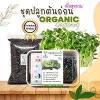 ราคา ชุดปลูกต้นอ่อน ออแกรนิก 100% ชุดปลูกผักปลอดสาร #ชุดปลูกทานตะวัน #ไควาเระ # #ต้นอ่อนผักบุ้ง #โต้วเหมี่ยว เมล็ดผัก (13974929577)