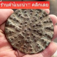 ราคา พระงบน้ำอ้อย เนื้อชิน กรุลานดอกไม้ สุโขทัย พิจารณาตามรูป พระบ้าน2 (57006237951)