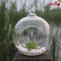 ราคา HOBBY แจกันแก้วแขวน, แก้ว Borosilicate ใสแขวน Tealight Holder, เชิงเทียนแก้วโปร่งใส 6/8/10/12/15 ซม.Succulents พืช Ball คอนเทนเนอร์ Moss (51857187666)