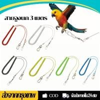 ราคา สายจูงนก สายจูง สายยางยืดนกแก้ว สายจูงนกแก้ว ยาว 3 เมตร แบบยืดได้ คละสี ป้องกันนกหลุด (26704277885)