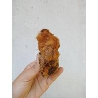 ราคา ว่านลูกไก่ทอง ขนาดจิ๋ว เหมาะวางโต๊ะทำงาน ขนสีทองสร้างโชคลาภแก่ผู้ปลูก หัวว่านลูกไก่ทอง ลูกไก่ทองจิ๋ว (13342613928)