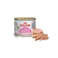 ราคา ROYAL CANIN MOTHER&BABYCAT CAN 195g อาหารเปียกสำหรับแม่แมวและลูกแมว (22565215571)