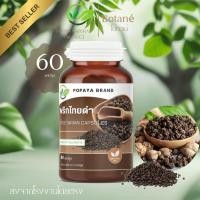 ราคา PIPERACEAE 60 /กระปุก พริก Black Piper nigrum L. (49656961099)