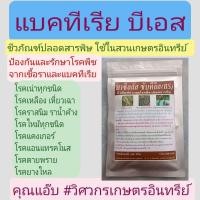 ราคา บีเอส 250กรัม , บาซิลลัส ซับทีลิส , BS ป้องกันกำจัดเชื้อรา โรครากเน่าโคนเน่า ใบไหม้ แคงเกอร์ แอนแทรคโนส ยางไหล กุ้งแห้ง (8015116677)