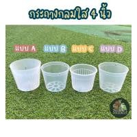 ราคา มี 4 แบบกระถางกลมใส 4 นิ้ว (13908372373)