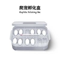 ราคา สัตว์เลื้อยคลานตุ๊กแก Incubator กล่องถาดไข่กล่อง 12 ตําแหน่งไข่เต่า Lizard สัตว์เลี้ยงงูปีนเขาสัตว์เลี้ยง Incubator เวอร์มิคูไลท์ Incubator z3.27 (51107791381)