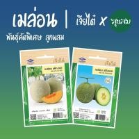 ราคา เมล็ดผัก เมล็ดเมล่อน เมล็ดเมลอน เมล่อน melon ปลูกเมล่อน l เจียไต๋ เมล็ดพันธุ์ผัก ปลูกผัก (11821863065)