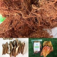 ราคา ใบหูกวาง | ใบกรวยป่า | สีเสียด สำหรับหมักปลากัด–ปลาสวยงาม และปรับสภาพน้ำ (คัดพิเศษ) (46356262151)
