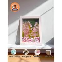ราคา กรอบรูปเม็ดโฟม ขนาด 5x7นิ้ว สีขาวขอบหนา 1 นิ้ว มีขาตั้ง หูแขวนผนัง ใส่เม็ดโฟม กระจกใส ตกแต่งบ้าน (44207285979)
