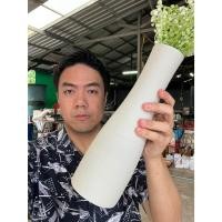 ราคา แจกันจัดดอกไม้ ขนาดสูง 12นิ้ว ทรงสูง งามมากๆ สีขาวล้วน แจกันเซรามิค แจกันขนาดสูง แบบ 9102024928 ออกใบกำกับภาษีได้ (28810774322)