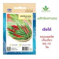 ราคา 5 แถม 1 เมล็ดพันธุ์ พริกจินดาแดง เจียไต๋ (25502079870)