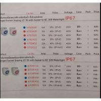 ราคา Haco 67SO416 เต้ารับทรงเฉียงแบบฝัง ชนิดกันน้ำ (ไม่รวมกล่อง) Flanged Socket Sloping 15° 6h Gasket to IEC 309 Watertight (18578708019)