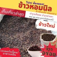 ราคา ข้าวหอมนิล ข้าวนิล อินทรีย์ ล่าสุด หอมอร่อย แพ็คสุญญากาศ 1 กก. โปรต้องลอง! (10457099950)