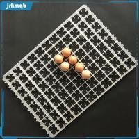 ราคา [jrkmqb] ถาดฟักไข่อัตโนมัตินกกระทาไข่ถาดสัตว์ปีกไข่ภาชนะเก็บ (43179480166)
