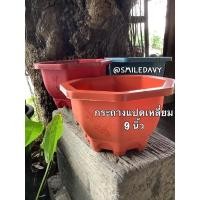 ราคา พร้อมส่ง กระถางต้นไม้ กระถางพลาสติก แปดเหลี่ยม 9 นิ้ว กระถางเก้านิ้ว (13034198099)