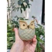 ราคา กระถางเซรามิคจิ๋ว สําหรับปลูกแคคตัส บัวหิน รูปนกฮูก ตกแต่งน่ารัก (58106081776)