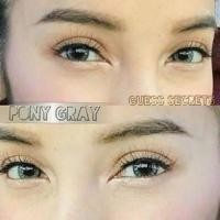 ราคา Pony Gray - Guess Secret (484379735)