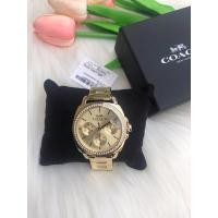 ราคา Coach Womens #Coach14503130 Mini Boyfriend Stainless Glitz Watch (10441495651)