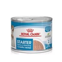 ราคา (6กระป๋อง) Royal canin Mini Starter กระป๋อง195g. (23021938335)