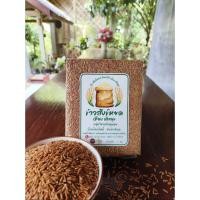 ราคา ข้าวสังข์หยดอินทรีย์ (41615451298)