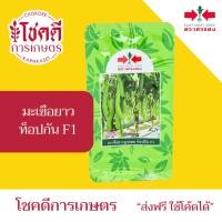ราคา มะเขือยาว ท็อปกัน F1 เมล็ดพันธุ์ มะเขือ ท๊อปกัน ลูกยาว ลูกผสม ตรา ศรแดง บรรจุ 20 กรัม (50550732006)