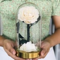 ราคา กุหลาบอมตะ ในโหลแก้ว (4316725786)