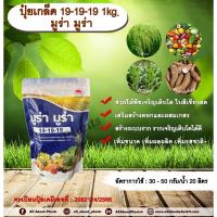 ราคา ปุ๋ยเกล็ด 19-19-19 1kg. มูร่า มูร่า ช่วยให้พืชเจริญเติบโต ใบสีเขียวสด เสริมสร้างดอก ผสมเกสร สร้างระบบราก รากเจริญเติบโต (24789322677)