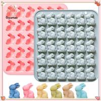 ราคา [Gyu] Easter Bunny แม่พิมพ์ซิลิโคน, 30 Cavities Candy Mould Wax Melt ถาดสําหรับเบเกอรี่กระต่ายช็อกโกแลต Jello เรซิ่น Gummies Cupcake Decor TH (41879611706)