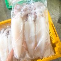 ราคา หมึกแดดเดียว ไซส์ใหญ่ (8448359592)