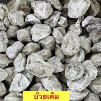 ราคา บ๊วยเค็มบ๊วยอร่อยบ๊วยเค็มพรีเมียมสีขาวขนาด500กรัม (41123132282)